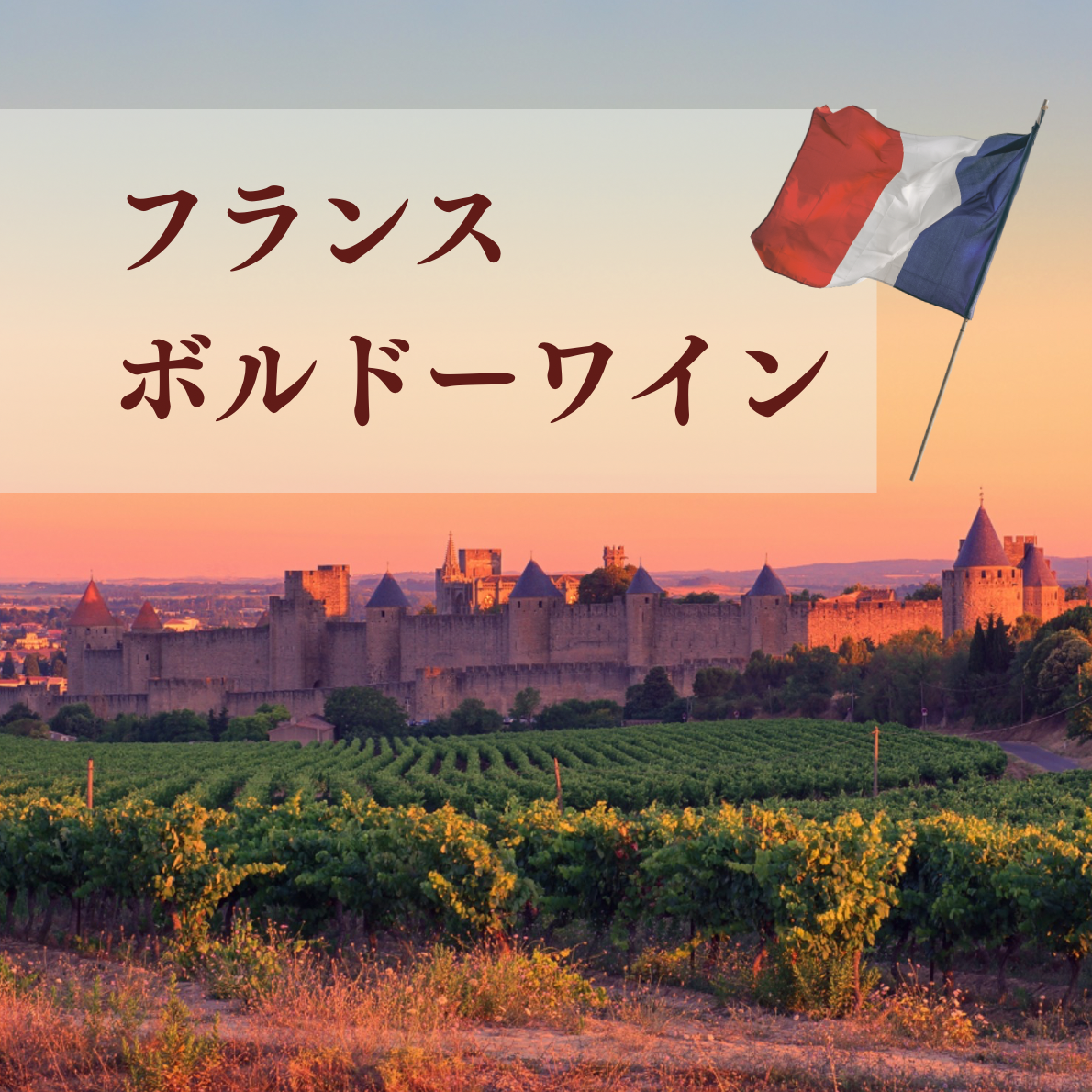 ボルドーワイン特集