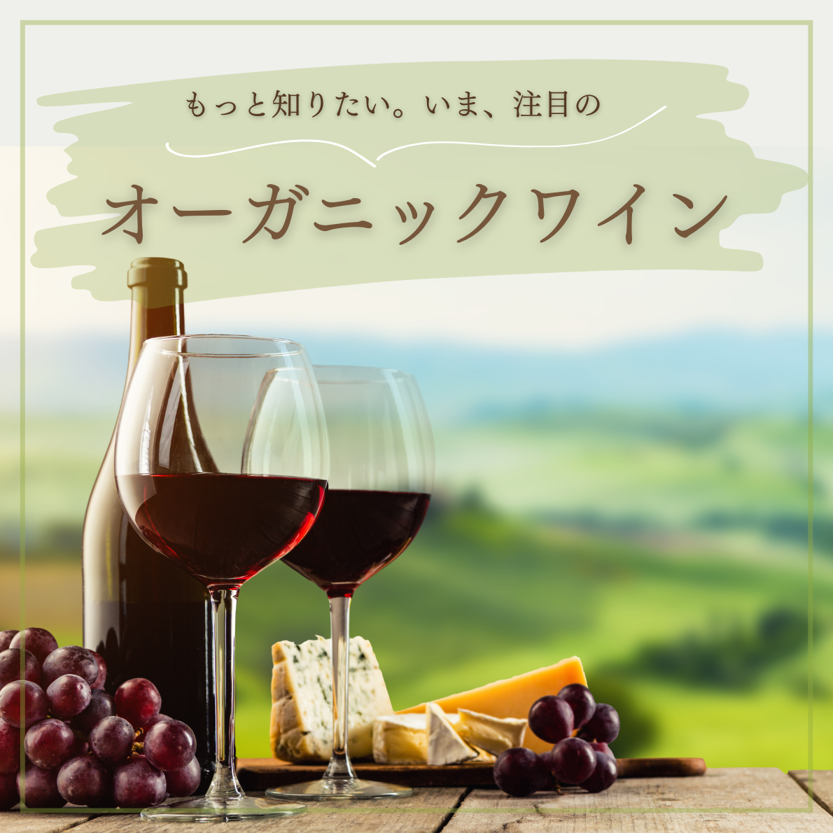 オーガニックワイン特集